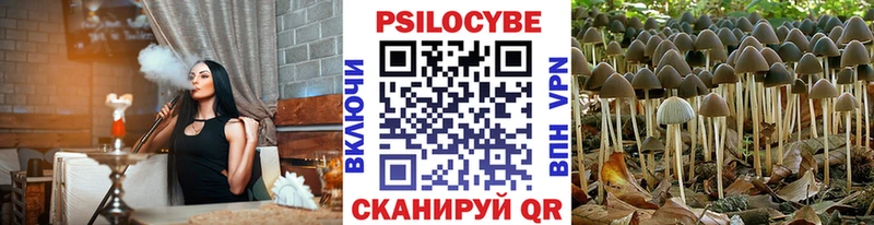 Галлюциногенные грибы прущие грибы  купить наркотики сайты  Коряжма 